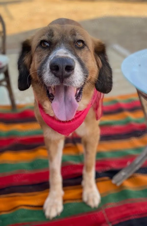 GABY sucht Familienanschluß Bild 7