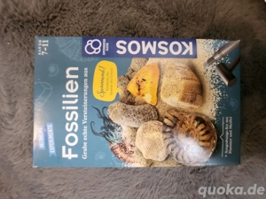 2er-Set Kosmos Ausgrabung   T-Rex & Fossilien   NEU & OVP