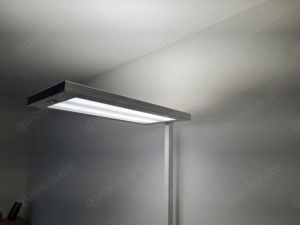 Lavigo LED Stehleuchte, Waldmann, konzentrationsförderndes Licht Bild 2