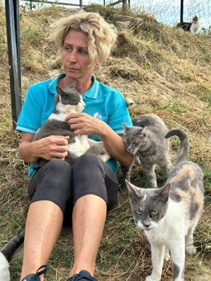 Kater Pedro sucht sein Für-immer-Zuhause! Bild 6