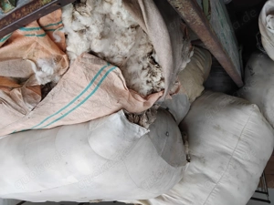 Schafwolle kostenlos abzugeben an Selbstabholer