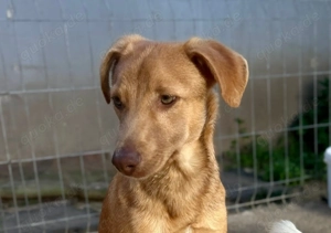 Tobi hat es verdient, endlich anzukommen 