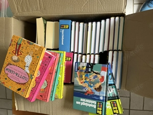 Bücher von den drei !!! und LottaLeben