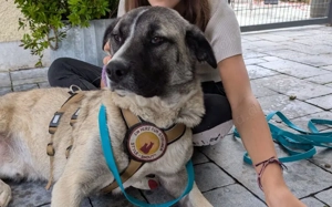 Bezaubert dich der hübsche Zac? 