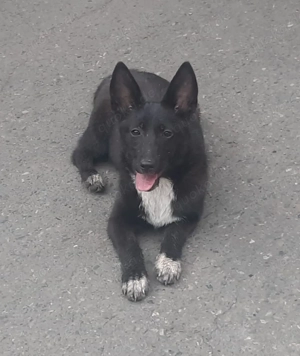 Die hübsche Lissa sucht Dich 