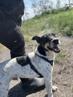 Sportiger Typ sucht neuen Wirkungskreis