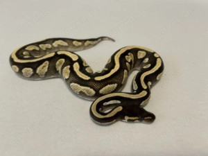 Hallo zusammen ! Bild 5