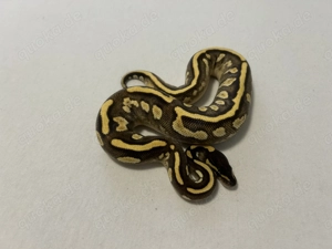 Hallo zusammen ! Bild 4