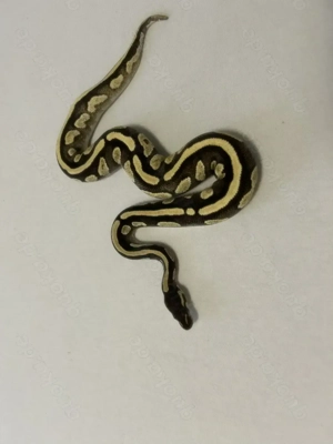 Hallo zusammen ! Bild 3