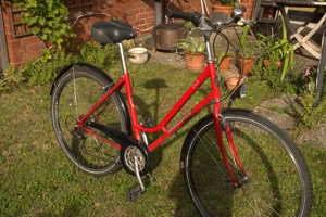 Damenrad Hercules | Shimano 24 Gänge | Tiefeinstieg | RH 48 |