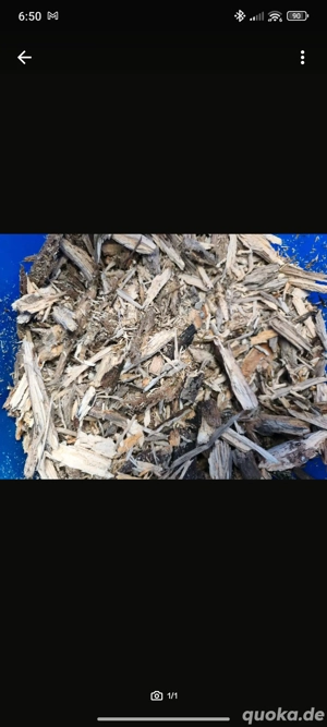 Weißfaules Holz , für Asseln, Käfer, Tausendfüßler und mehr