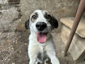 Trudy ca. 50 cm   Herz zu verschenken