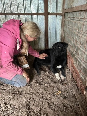 Baluk ca. 52 cm   mit weißen Socken Bild 3