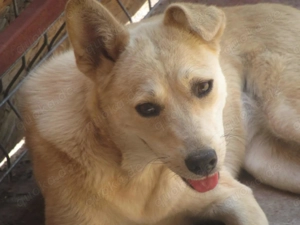 Selena ca. 38 cm - Die Fröhliche