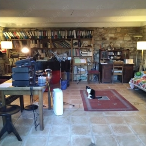 Gesangsunterricht für Anfänger und Könner