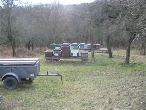 Freizeitgrundstück  Bild 4