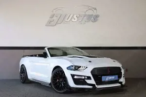 Ford Mustang 5.0 V8 GT/SHZ/SBL/LHZ/RFK/TOTW/AMBIE/R19