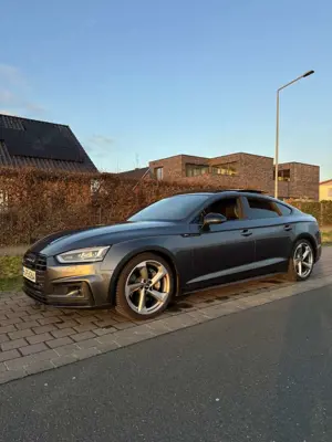 Audi A5 3.0 TDI V6 S-Line MATRIX PANO HUD BO STANDH. Bild 3