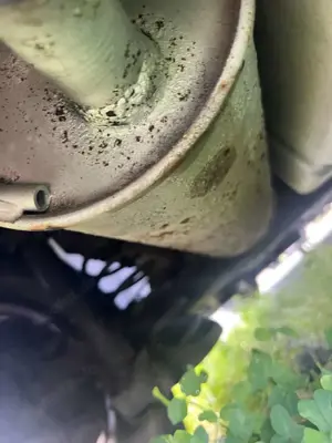 Volkswagen Polo Basis Bild 2