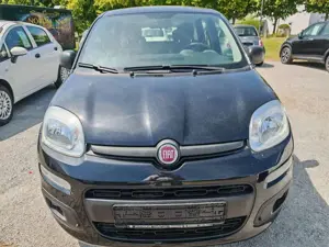 Fiat New Panda Easy 1.2 8V Klima-AW-ZV-el. FH-NSW Bild 2
