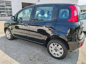 Fiat New Panda Easy 1.2 8V Klima-AW-ZV-el. FH-NSW Bild 4