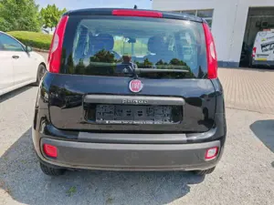 Fiat New Panda Easy 1.2 8V Klima-AW-ZV-el. FH-NSW Bild 5