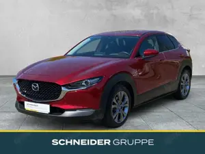 Mazda CX-30 SKYACTIV-X 2.0 M Hybrid Selection MATRIX+LEDER+PDC