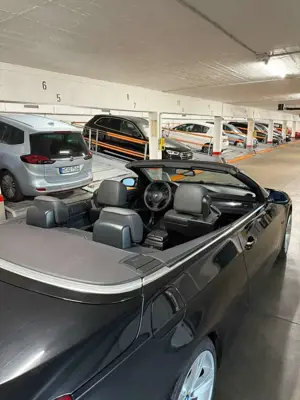 BMW 320 320i Cabrio Bild 5