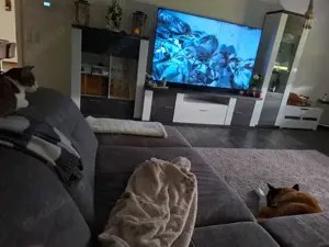 Peugeot 308 308 SW 120 VTi Active Bild 3