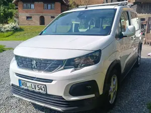 Peugeot Rifter Camper Van - Camping Ausbau mit Bett