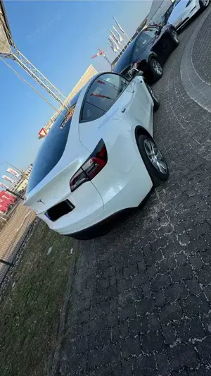 Tesla Model Y RWD Bild 4