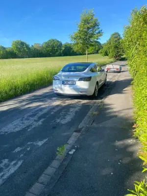 Tesla Model 3 Model 3 Standard Reichweite Plus Hinterradantrieb Bild 4