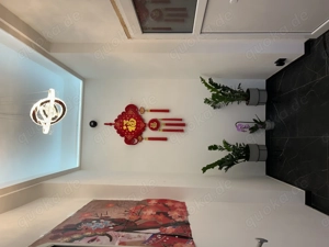 Asia Massage -Tuina - Waldhof Mannheim  Bild 2