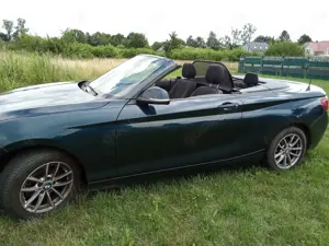 BMW 218 218i Cabrio