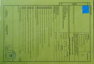 Zuchtgruppe adulter Griechischer Landschildkröten abzugeben (Testudo hermanni hercegovinensis), 1,3