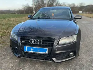 Audi A5 A5 3.0 TDI Sportback quattro DPF
