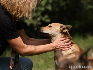 Emil *geb. 09 2024 - kleine Seele ist bereit für ihr eigenes Körbchen  Bild 5
