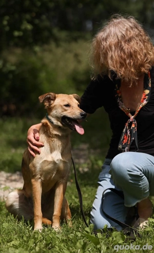 Emil *geb. 09 2024 - kleine Seele ist bereit für ihr eigenes Körbchen  Bild 7