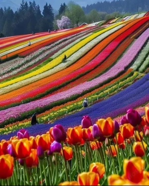 Englisch Nachhilfe   Unterricht (privat vor Ort) anbieten