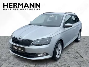 Skoda Fabia Combi 1.2 TSI Green tec Joy SHZ*PDC*LM*