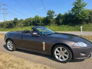 Jaguar XK8 XK8 Cabriolet