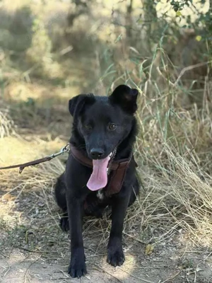 Süßer Fratz sucht liebevolle Familie