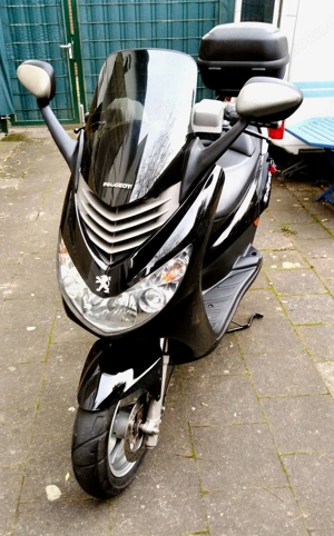 Motorroller Peugeot Elystar 50  TOP Zustand