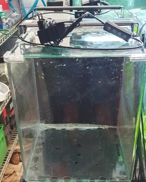 Nano Cube Dennerle komplett 