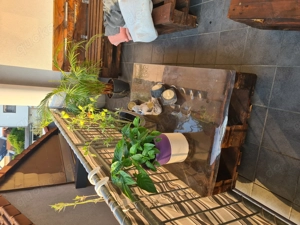 Holzpaletten geschliffen und poliert 