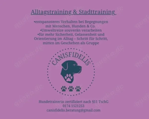 Hundetrainer Canisfidelis 