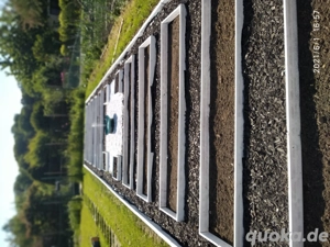 Suche Gartenpartner -in für Gartenarbeit