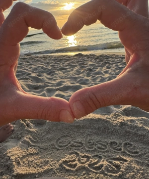 Suchen Yorkshire Terrier 