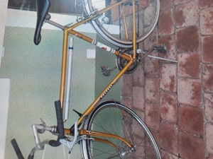 Fahrrad Unterstand gesucht