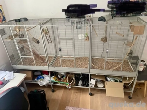 Voliere Madaira Double mit Erweitererung von Montana Casa